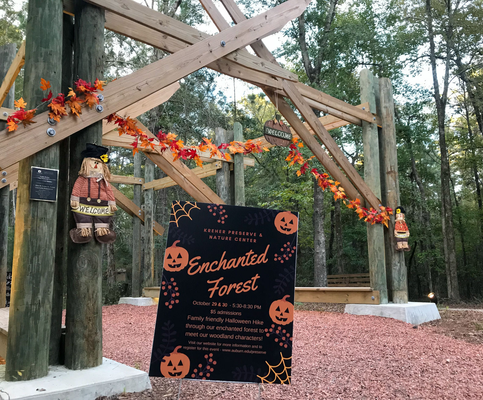 Halloween Enchanted Forest